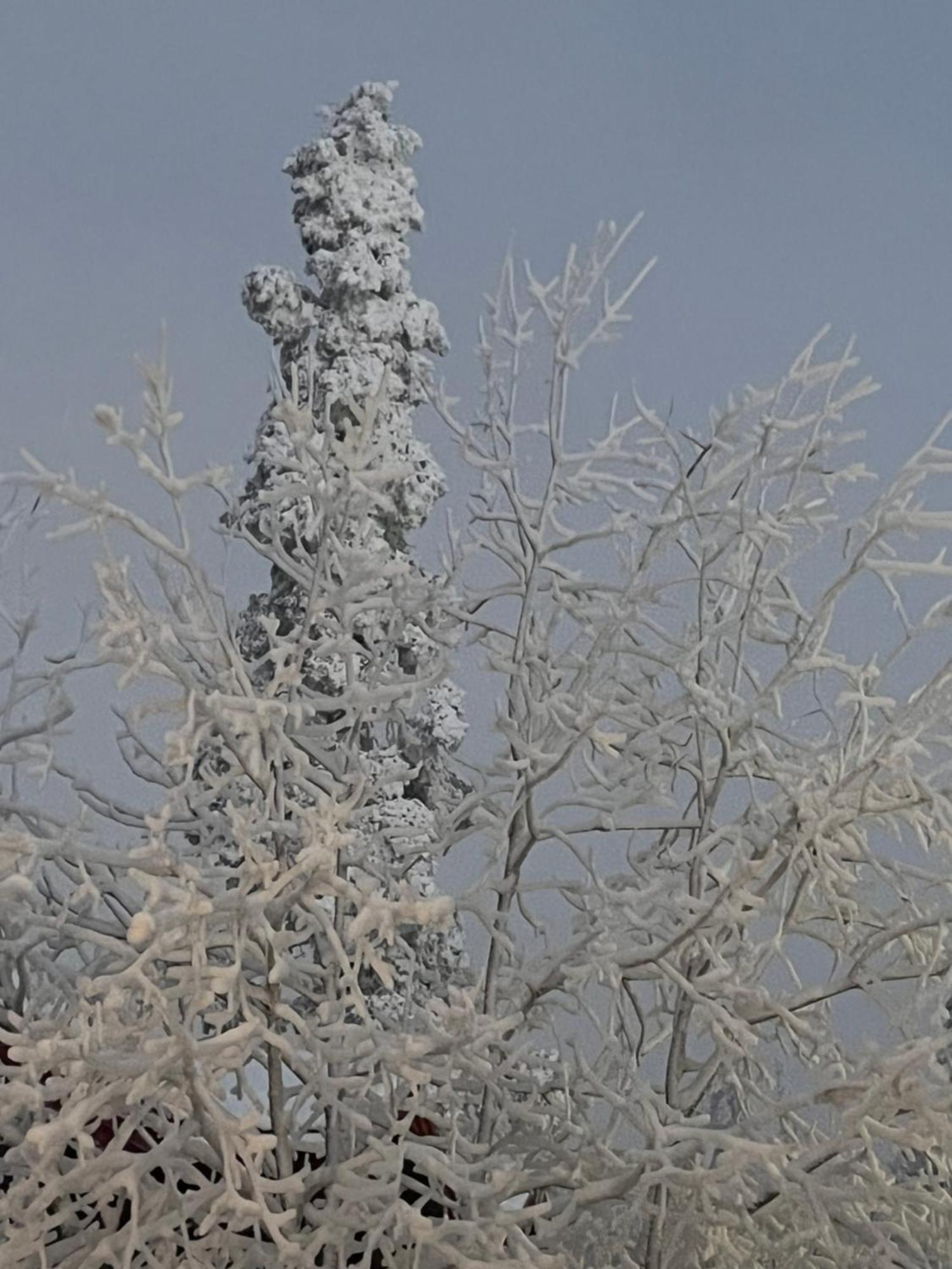 Idre Fjaell, Soederbyn Ski In Ski Out, 30 M Till Pisten المظهر الخارجي الصورة