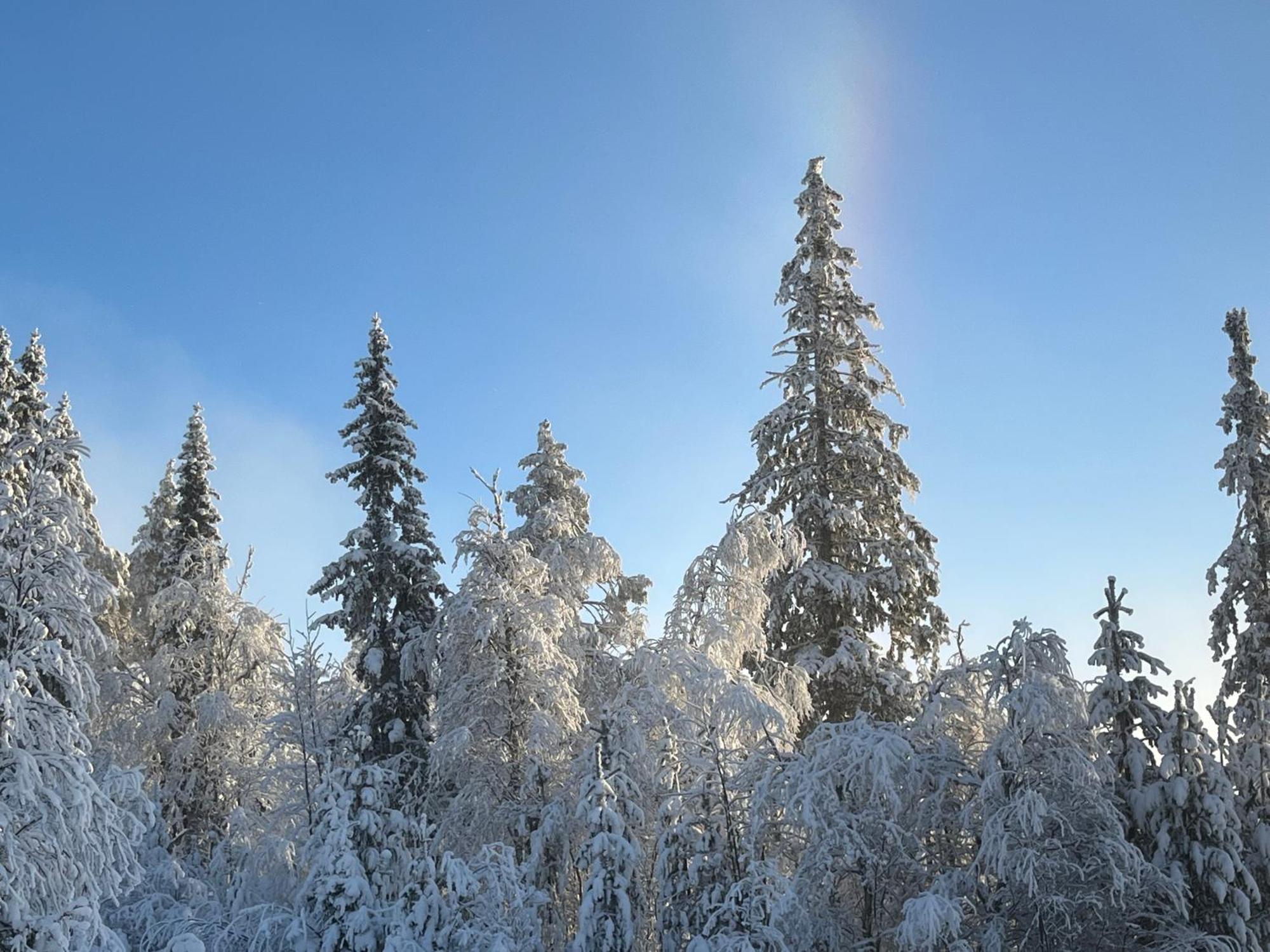 Idre Fjaell, Soederbyn Ski In Ski Out, 30 M Till Pisten المظهر الخارجي الصورة