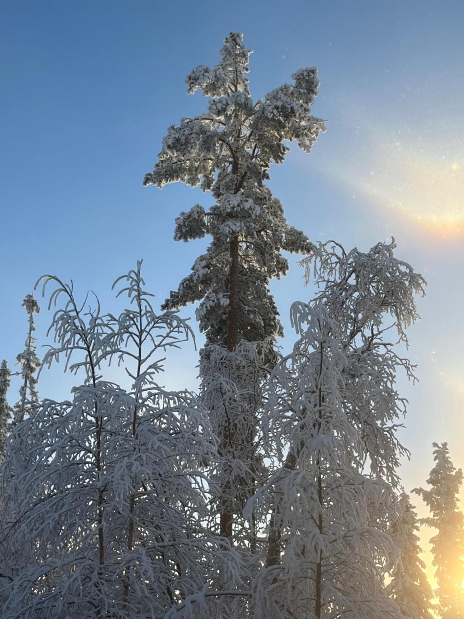 Idre Fjaell, Soederbyn Ski In Ski Out, 30 M Till Pisten المظهر الخارجي الصورة