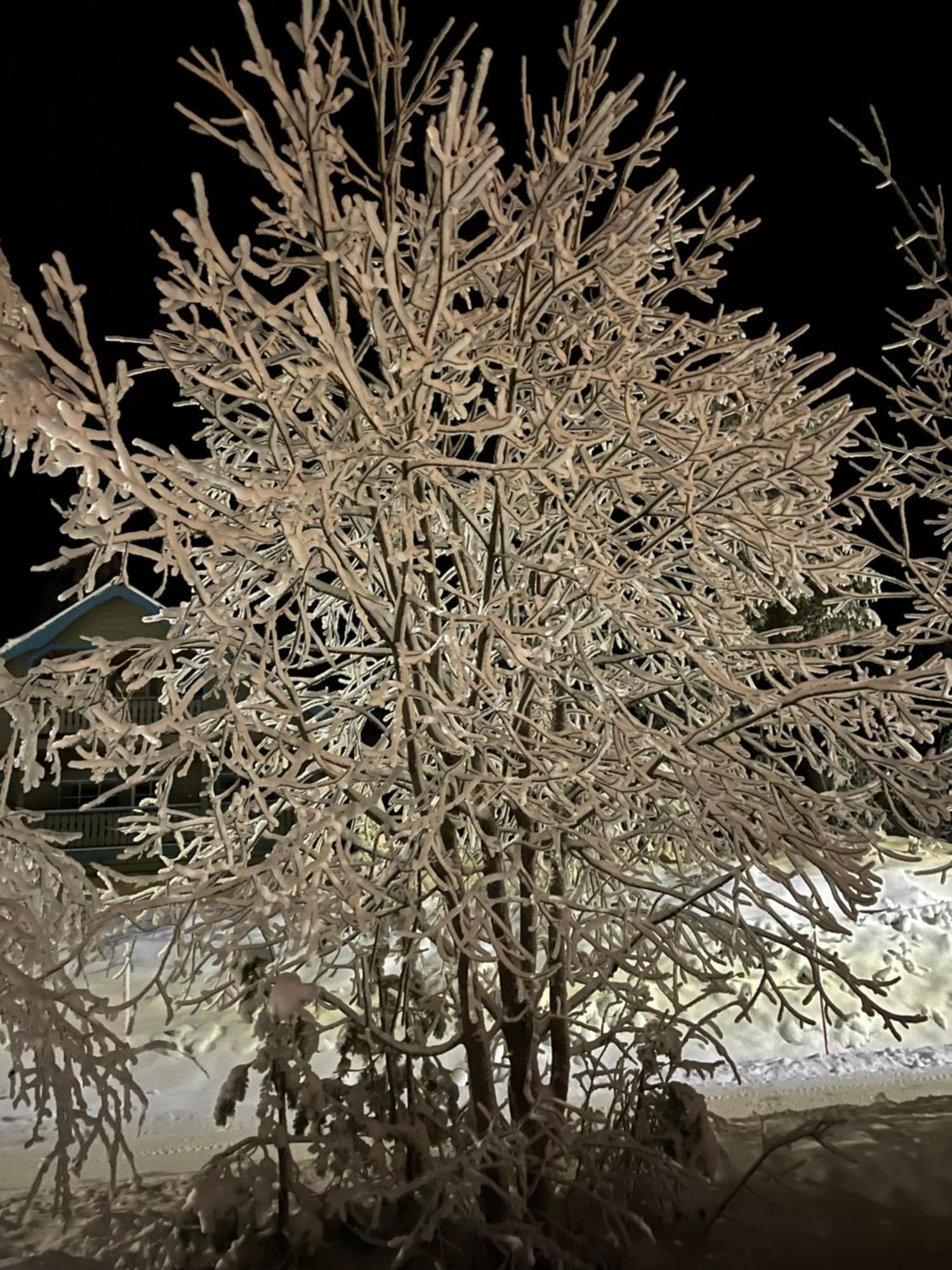 Idre Fjaell, Soederbyn Ski In Ski Out, 30 M Till Pisten المظهر الخارجي الصورة